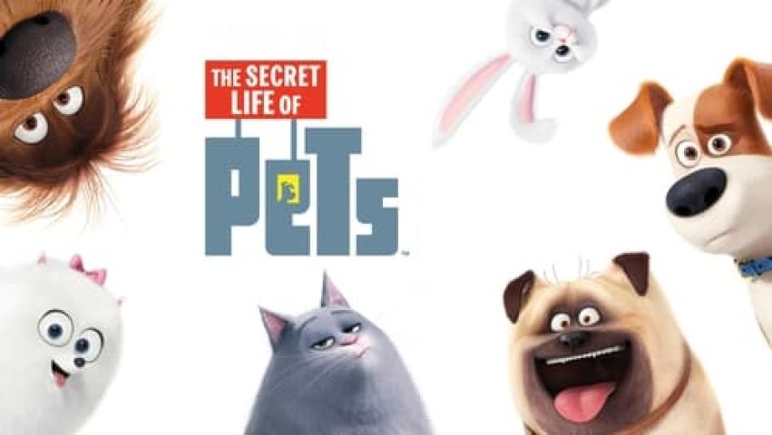 مشاهدة فيلم The Secret Life of Pets 1 2016 مترجم ماي سيما