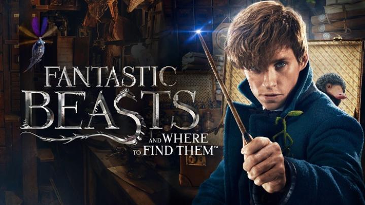 مشاهدة فيلم Fantastic Beasts and Where to Find Them 1 2016 مترجم ماي سيما